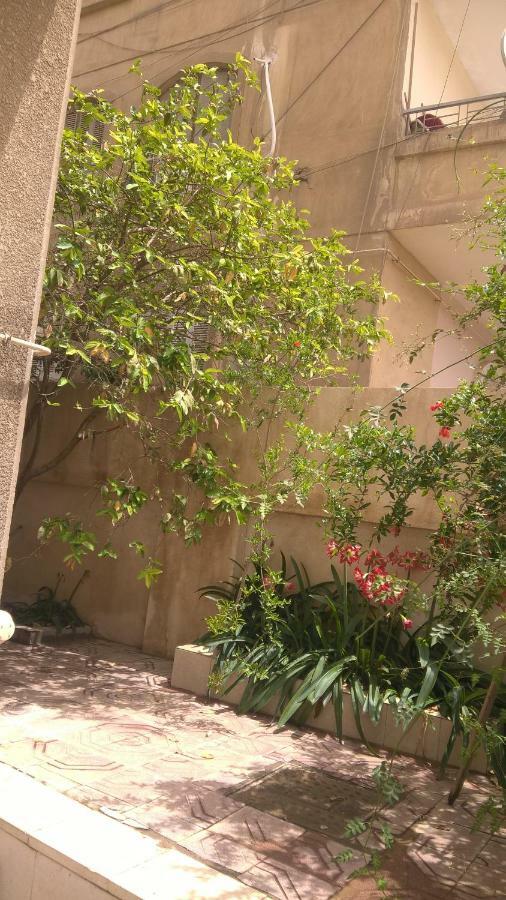 Safe House Cairo